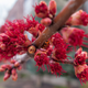 Illustration for article titled 21 Stupendous Photos of Spring